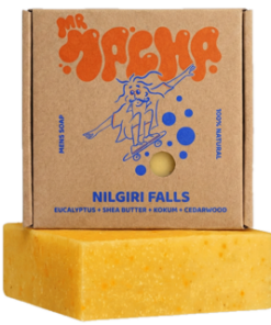Nilgiri Falls